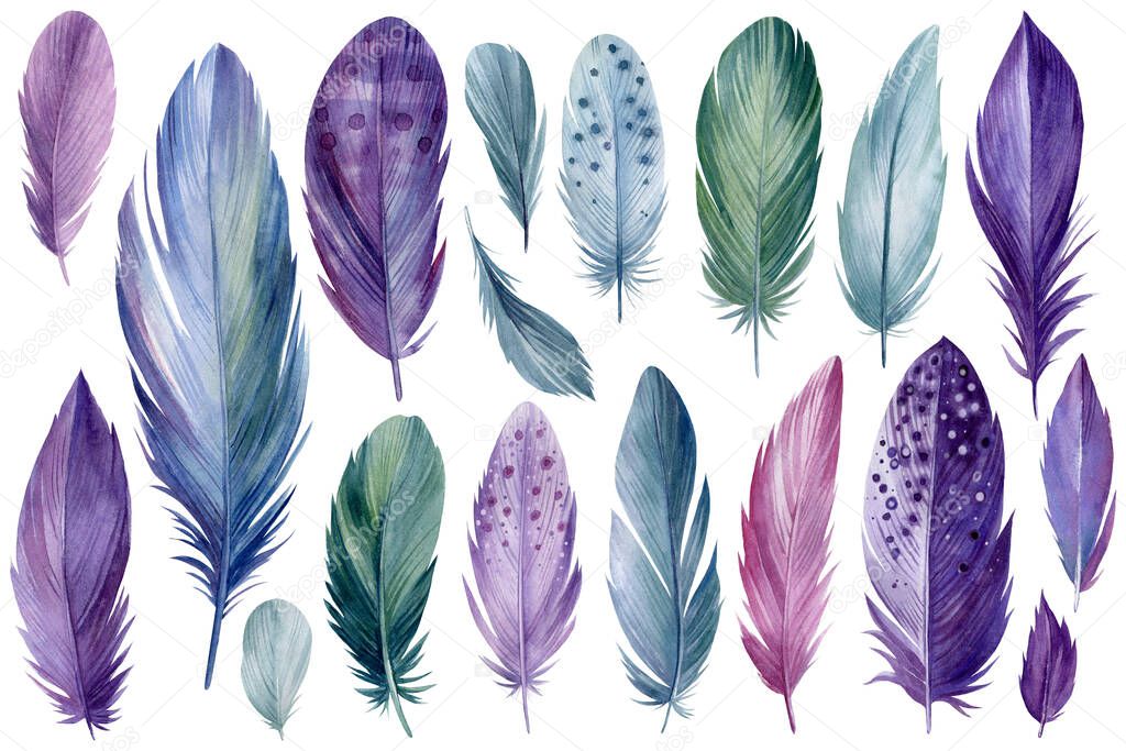 Big colorful set of bird feathers on white background, watercolor illustration
