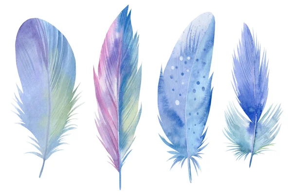 Set de plumas de pájaro sobre fondo blanco aislado, acuarela pintada a mano —  Fotos de Stock