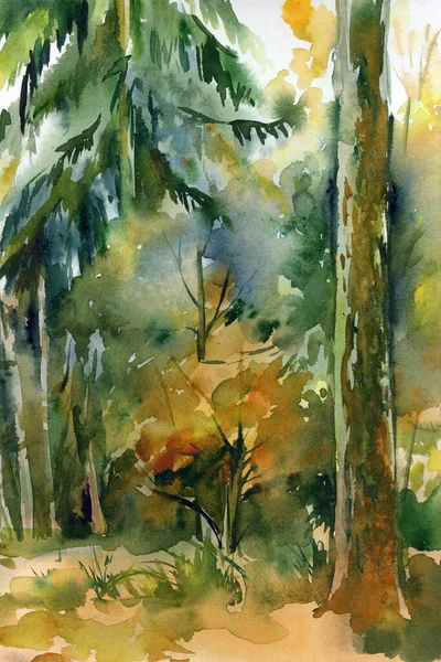 Paisagem da floresta, pintura aquarela, desenhado à mão — Fotografia de Stock