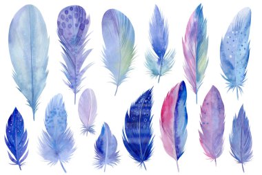 Beyaz yalıtılmış arka planda büyük renkli kuş tüyleri, suluboya çizimler, el çizimleri.
