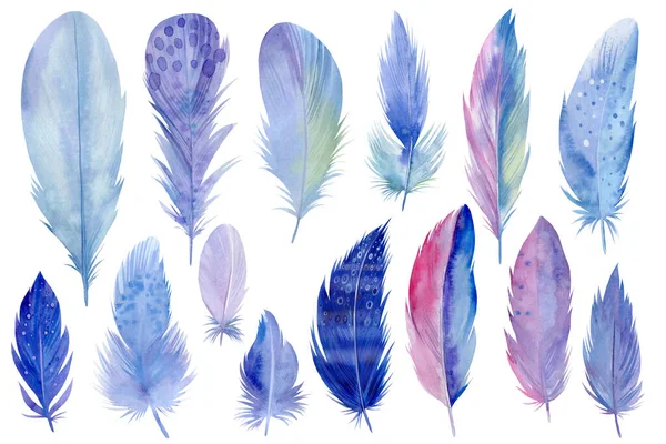 Big colorful set of bird feathers on white isolated background, watercolor illustration, hand drawing — Stock Photo, Image