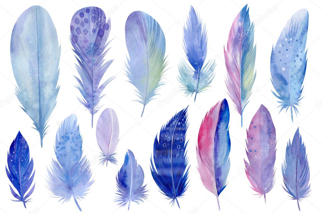 Big colorful set of bird feathers on white isolated background, watercolor illustration, hand drawing