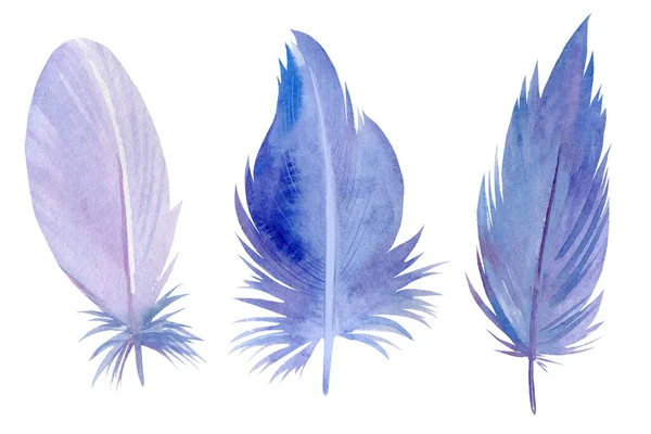 Acuarela mano dibujo conjunto de plumas pluma violeta pájaro sobre fondo aislado blanco, —  Fotos de Stock