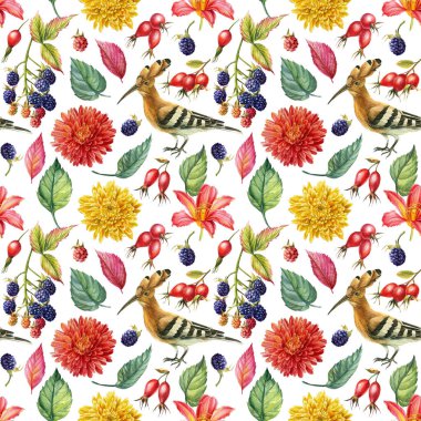 Kusursuz kasımpatı, gül kalçası, yıldız çiçeği, zambak, böğürtlen, kuş. suluboya çiçek arkaplanı