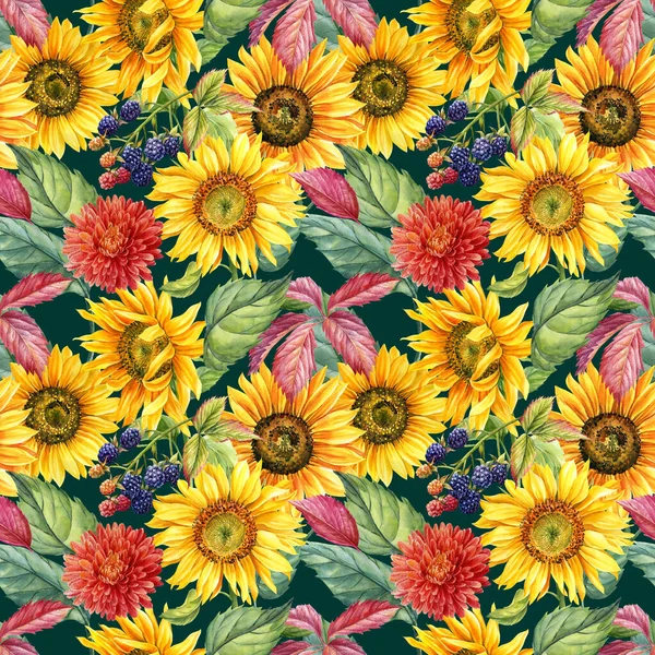 Nahtlose Muster von Chrysanthemen, Brombeeren, Sonnenblumen, Blättern. Aquarell floraler Hintergrund — Stockfoto