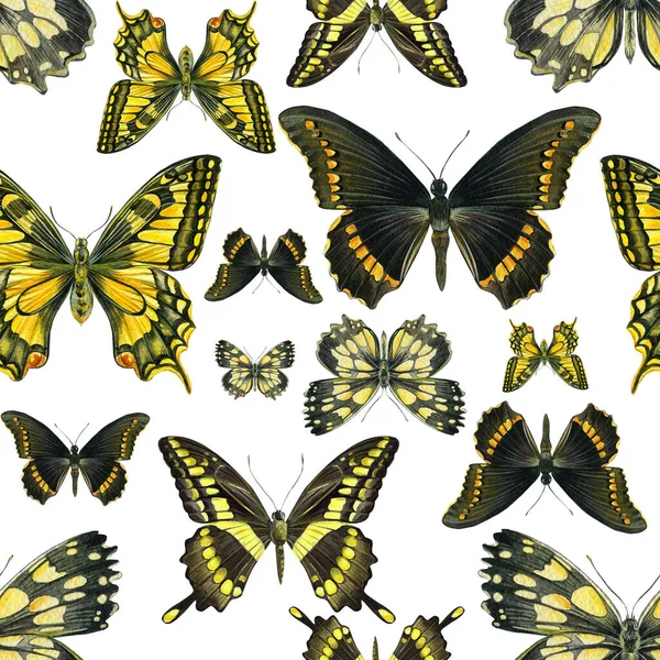 Seamless patterns of butterflies. watercolor hand-drawn, isolated background — Stock Photo, Image