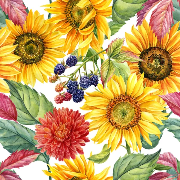 Zökkenőmentes krizantém, szeder, napraforgó, levelek. akvarell virágos háttér — Stock Fotó