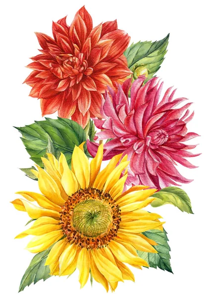 Samenstelling van aquarel heldere bloemen, dahlia 's, zonnebloemen op geïsoleerde witte achtergrond, handtekening — Stockfoto