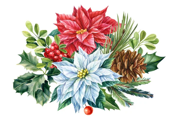 Зимний букет пуансеттийских цветов и еловых ветвей на изолированном белом фоне, иллюстрация акварелью — стоковое фото