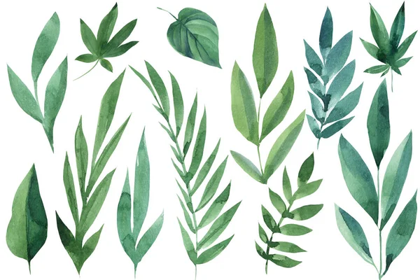 Set aus abstrakten grünen Blättern auf weißem Hintergrund, Aquarellzeichnungen, botanische Illustration — Stockfoto