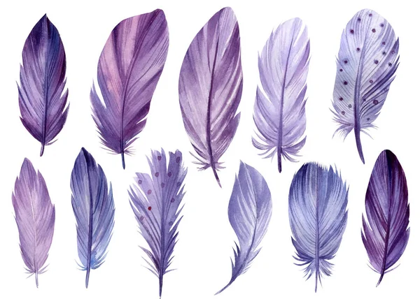 Набір акварельних фіолетових пір'я на білому фоні — стокове фото