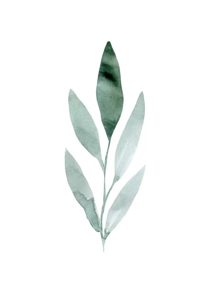 Aquarelschets abstract groen blad — Stockfoto