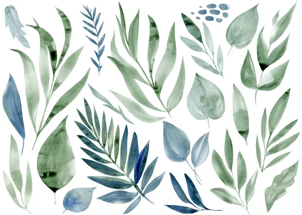 Divoké rostliny, abstraktní listy akvarel skica — Stock fotografie