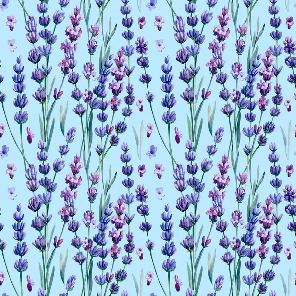 Padrão sem costura floral com aquarela, flores de lavanda, desenho à mão — Fotografia de Stock