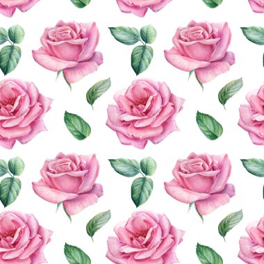 Çiçeksiz desenler, gül çiçekleri, suluboya botanik resimler.