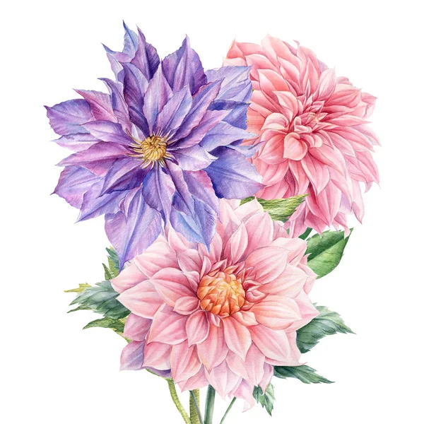 Bouquet di fiori dalia, clematis, acquerello illustrazione botanica — Foto Stock