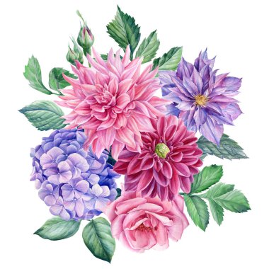 Bir buket çiçek yıldız çiçeği, gül, klematis, ortanca, suluboya botanik çizim