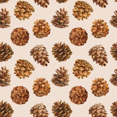 Kusursuz desen, suluboya çizim, çam kozalakları