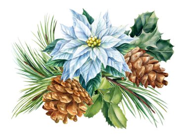 Noel yıldızı, çam kozalakları, çoban püskülü, ladin dalları, suluboya çizimler, kartpostallar.