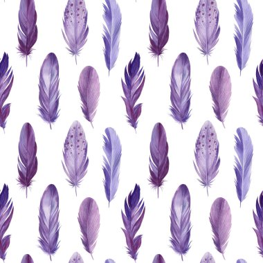Kusursuz desenli kuş tüyleri, suluboya çizimler.