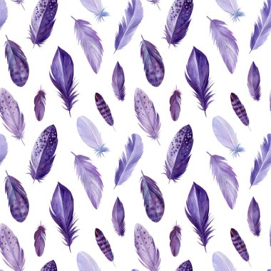Kusursuz desenli kuş tüyleri, suluboya çizimler.