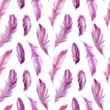 Kusursuz desenli kuş tüyleri, suluboya çizimler.
