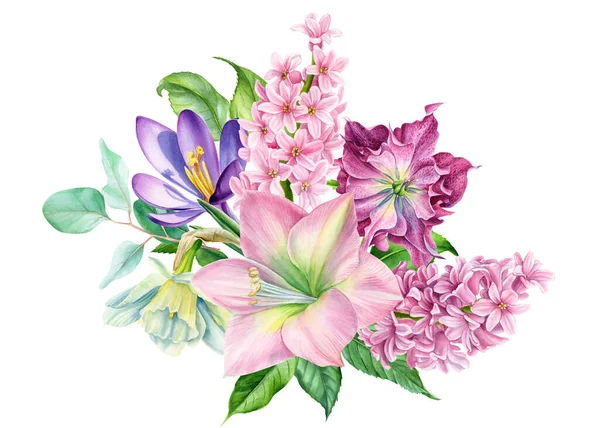 Bouquet of watercolor flowers, tulip, hyacinth, ranunculus on a white background, spring, botanical illustration —  Fotos de Stock