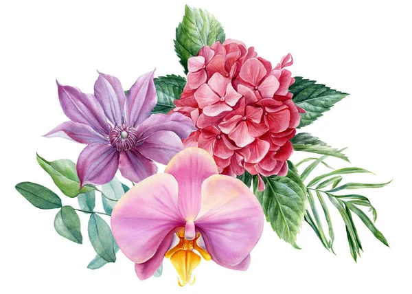 Bukiet kwiatów. Orchidea, powojnik, hortensja na białym tle, akwarela ilustracja botaniczna — Zdjęcie stockowe