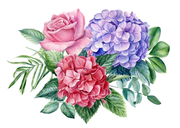 Flora στοιχεία σχεδιασμού, τριαντάφυλλο λουλούδια, ορτανσία σε λευκό φόντο, ακουαρέλα βοτανική απεικόνιση — Φωτογραφία Αρχείου