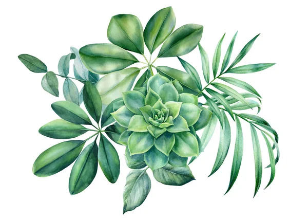 Květinová kytice. Listy tropických rostlin na bílém pozadí, akvarel botanické ilustrace. Design džungle — Stock fotografie