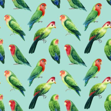 Kusursuz desenler. Papağanlar aşk kuşlarını mavi arka planda, suluboya resimleme. 
