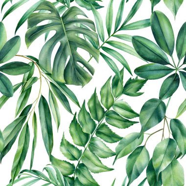 Orman palmiyesi yaprakları, beyaz arka planda tropikal yapraklar, suluboya botanik çizimler. Kusursuz desenler. 