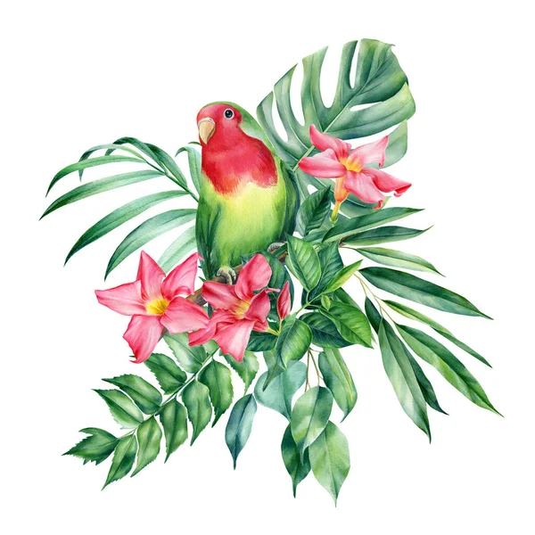 Composição com papagaios-pombo e folhas de palma, flores tropicais em um fundo branco, ilustração aquarela — Fotografia de Stock