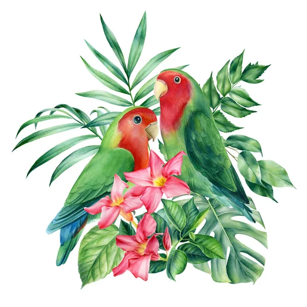 Composition avec perroquets-tourtereaux et feuilles de palmier, fleurs tropicales sur fond blanc, aquarelle illustration — Photo