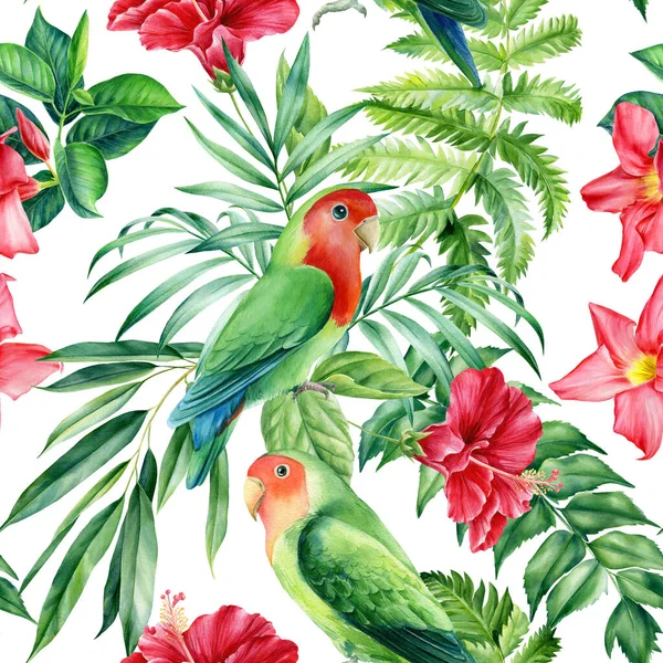 Kusursuz desenler. Papağanlar ve palmiye yaprakları, beyaz arka planda tropikal bitkiler, suluboya botanik çizimler — Stok fotoğraf