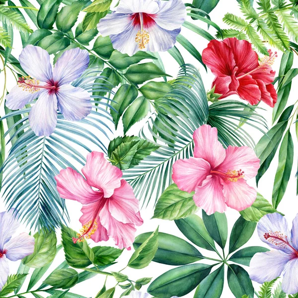 Foglie di palma, fiori tropicali su sfondo bianco, acquerello illustrazione botanica. Modelli senza cuciture. — Foto Stock