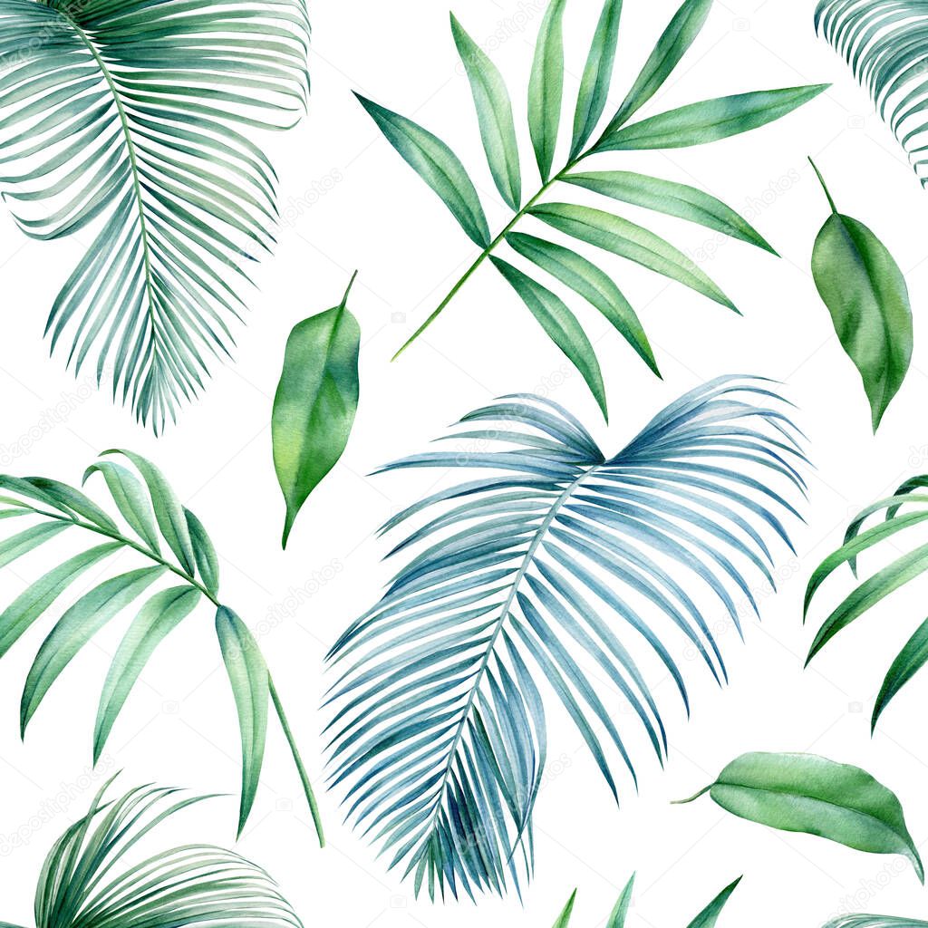 Palm leaves, tropical leaf on white background, watercolor botanical illustration. Seamless patterns. 