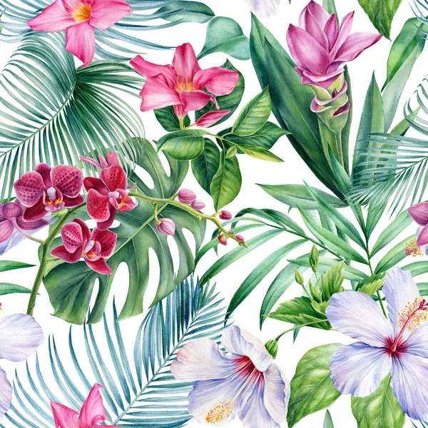 Folhas de palma, flores tropicais orquídea, hibisco no fundo branco, aquarela botânica. Padrões sem costura. — Fotografia de Stock