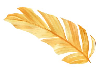 Altın tropikal yaprak, suluboya çizim