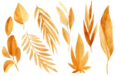 Altın tropik palmiye yaprakları, elle boyanmış çiçekler, suluboya çizimler.