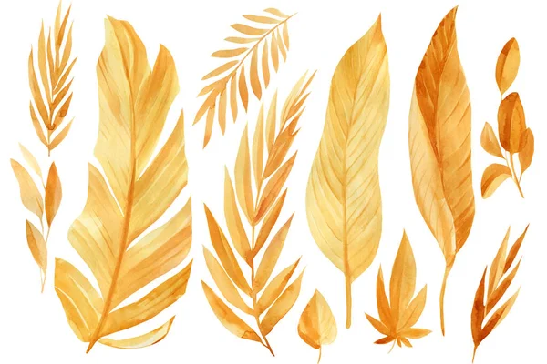 Set of golden tropical leaves, watercolor drawing — Stock Photo, Image