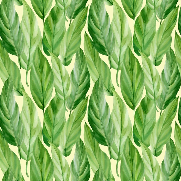 Modèle sans couture avec palmier à feuilles tropicales. Feuilles vertes, dessin aquarelle — Photo