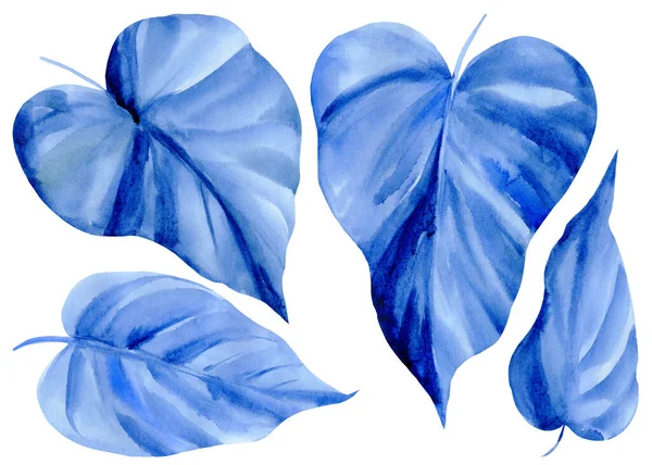Set blauer Blätter auf weißem Hintergrund, Aquarell-Illustration, tropische Palmblätter, abstrakte Malerei — Stockfoto