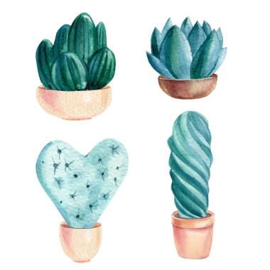 Kaktüs, izole edilmiş beyaz arka plan sulu boya çizimi