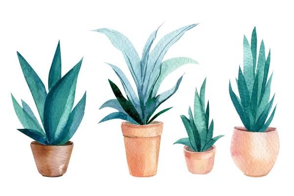 Indoor plant on isolated white background, watercolor illustration — Stok Foto