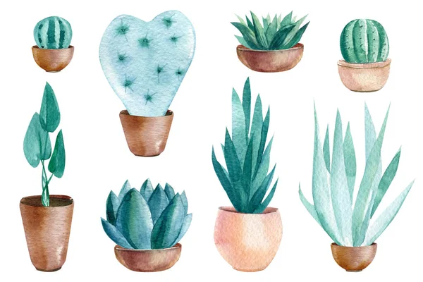 Set lukisan cat air. Cacti, perasa dan tanaman indoor pada latar belakang putih yang terisolasi — Stok Foto