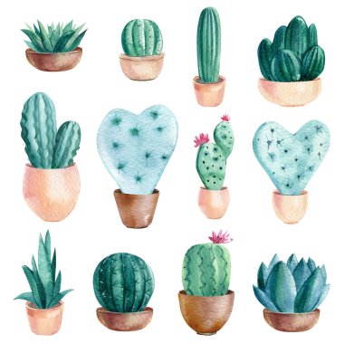 İzole edilmiş beyaz arkaplan üzerindeki kaktüsler ve sulu boya çizimleri