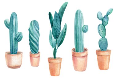 İzole edilmiş beyaz arka planda kaktüsler, sulu bitkiler ve yeşil bitkiler, suluboya resimleme