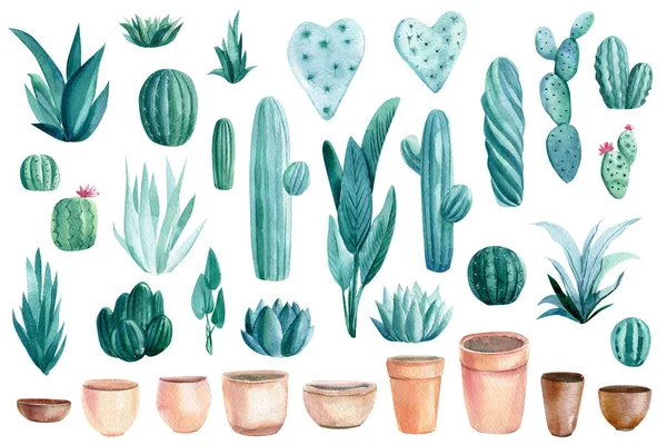 Piante tropicali, Cacti, piante grasse e vasi su fondo bianco isolato, illustrazione ad acquerello — Foto Stock