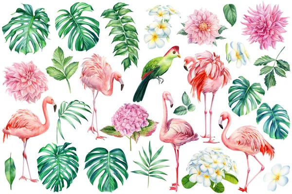 Set di foglie di palma tropicale, fiori e uccelli. Illustrazione botanica acquerello — Foto Stock